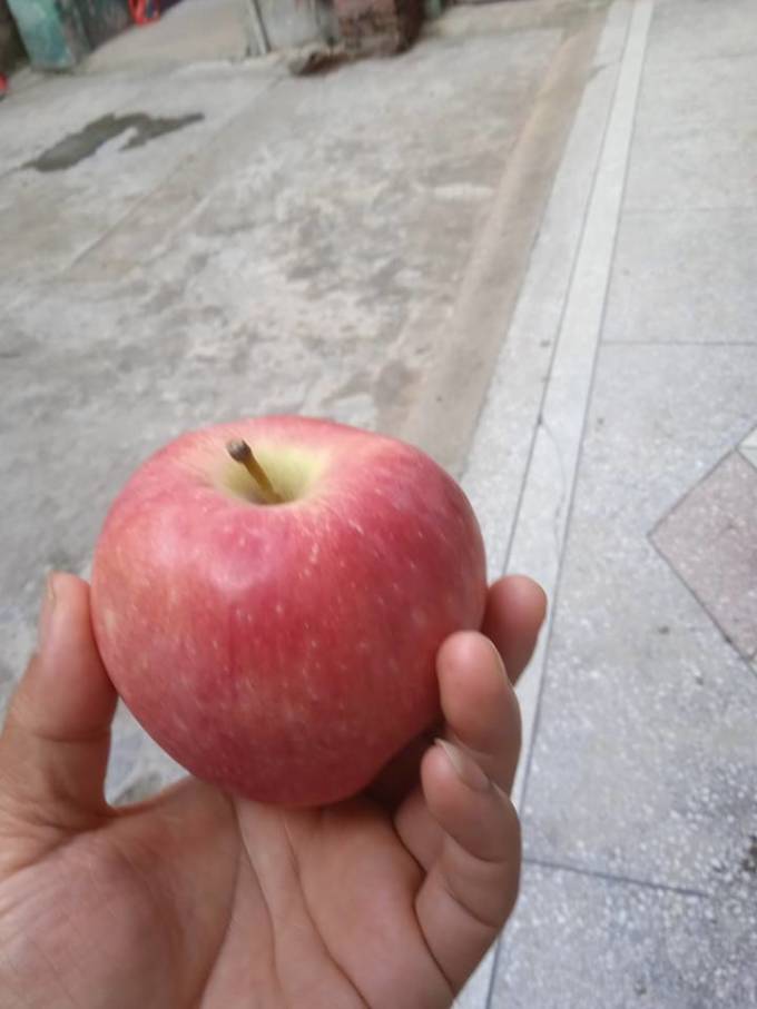 聚牛果园苹果