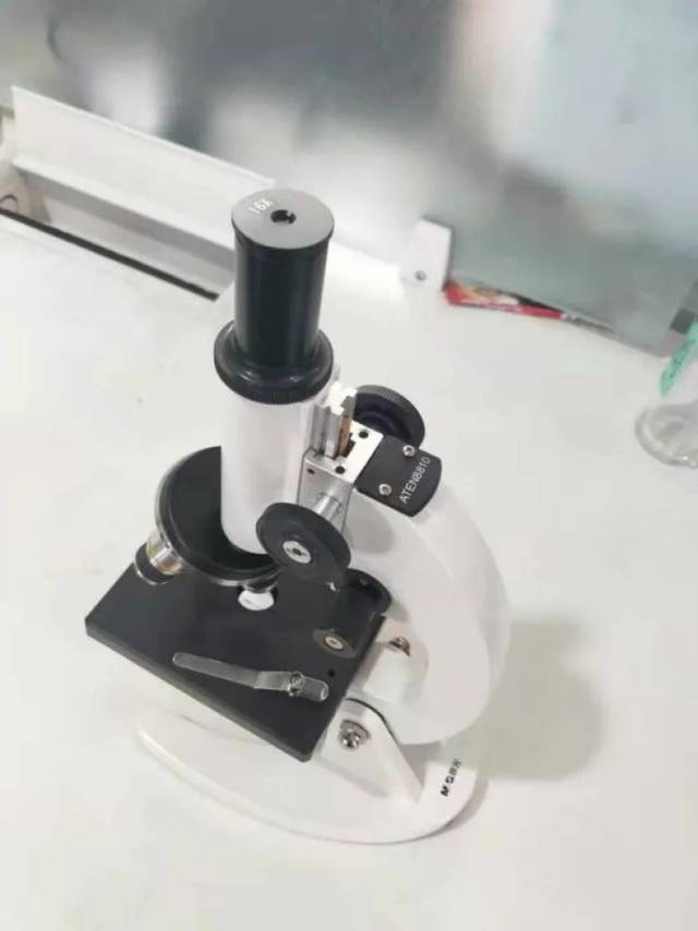 看来成功激发他的学习兴趣