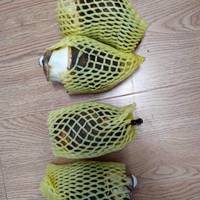 荔浦芋头