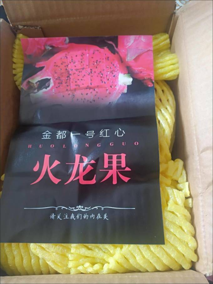 火龙果