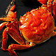 秋风起蟹黄肥，看完这篇你还认为自己真的会吃螃蟹吗？