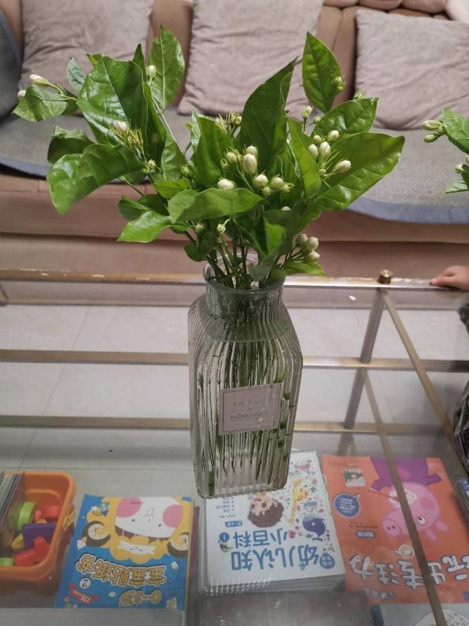 花点时间鲜花绿植
