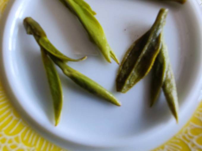 绿满堂茶类