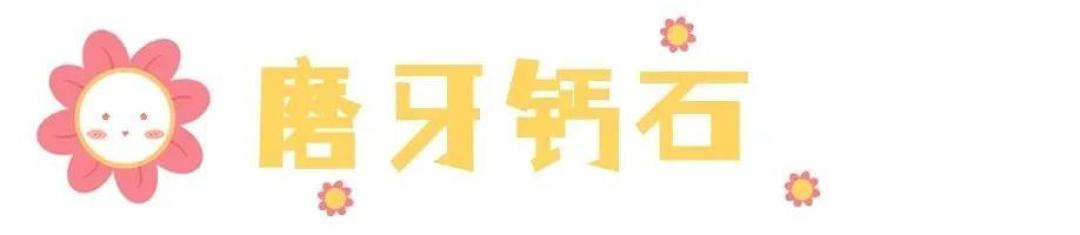 神奇动物饲养攻略|仓猪不磨牙的危害,你造吗?