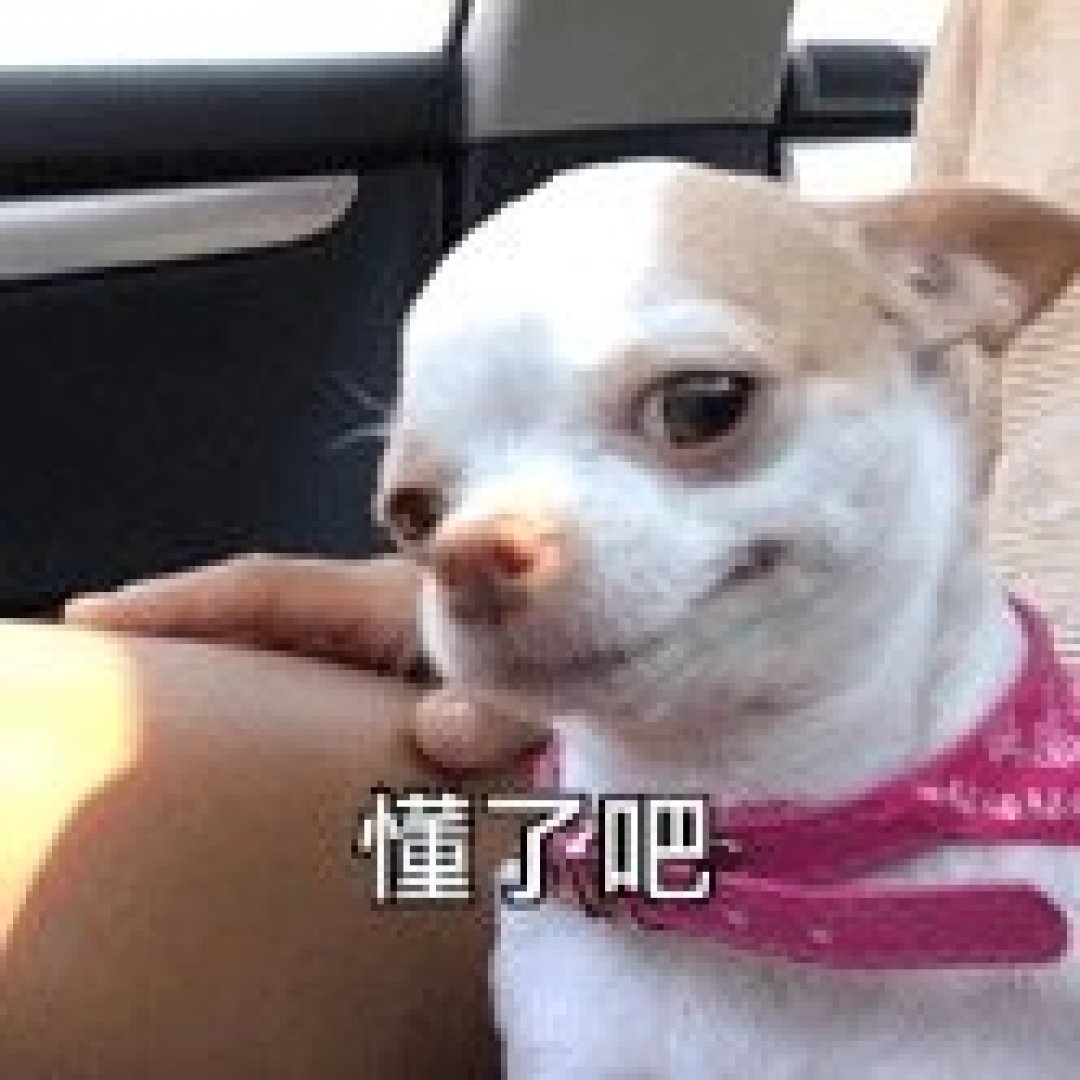 今日秋分到,暑退秋渐澄,焕新期间绝不“将旧”!快来这里遇见你的专属初秋攻略~