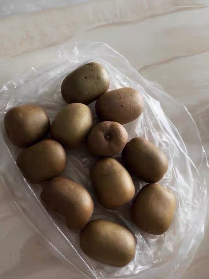 泰汇吃新鲜水果