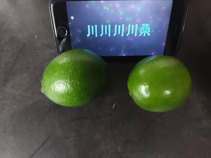沙窝曙光新鲜水果
