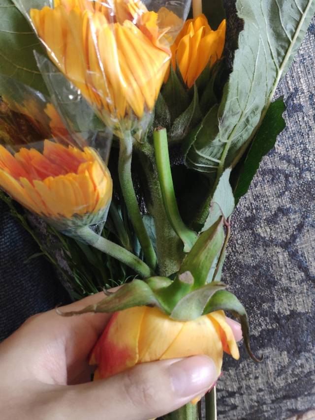 考拉鲜花