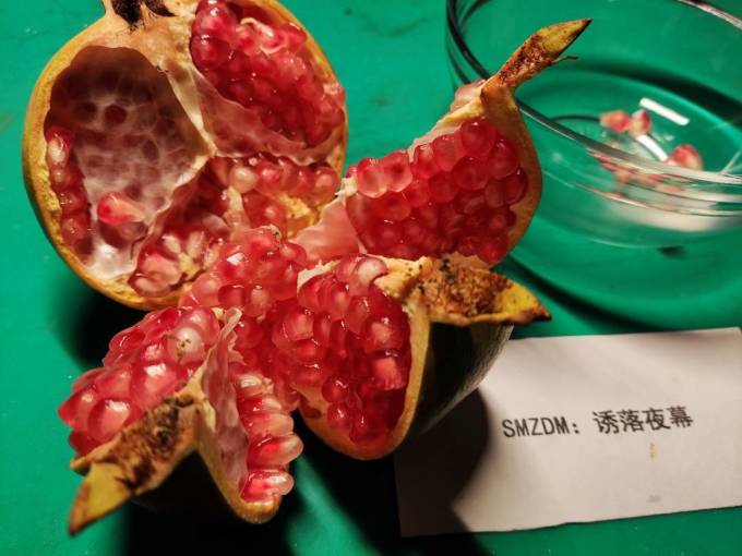 京觅新鲜水果
