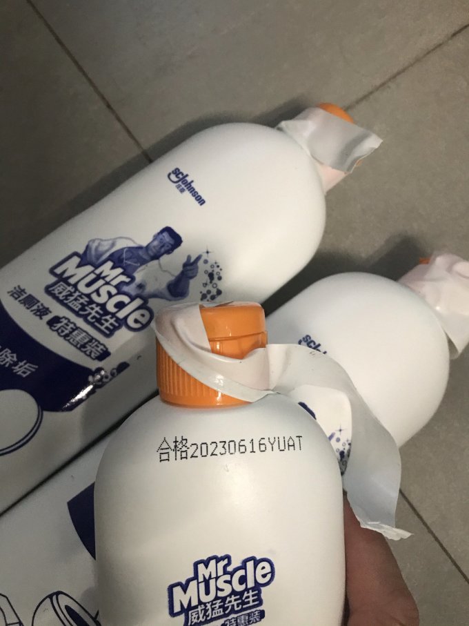威猛先生居室清洁