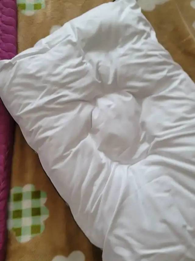 诗丹娜枕头芯