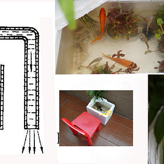 女儿想要养鱼，我DIY了一个鱼缸，再白嫖来朋友家的斗鱼
