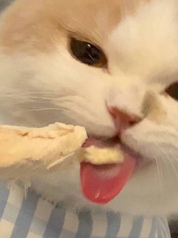 就简身体乳液