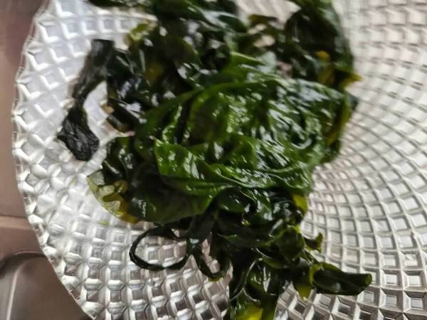 复州红裙带菜