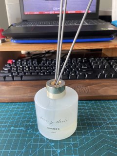 梅须逊雪三分白，雪却输梅一段香