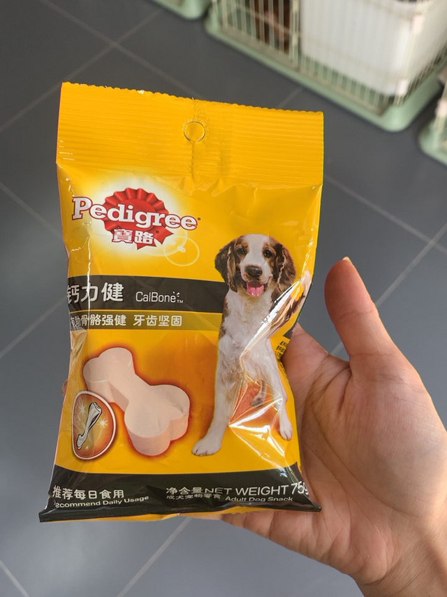 磨牙训犬必备