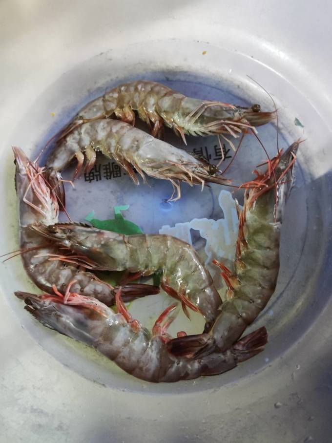 味库海鲜虾类