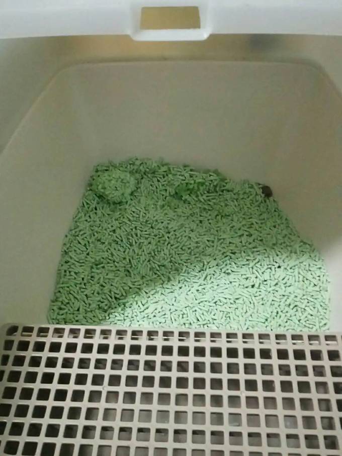 御邦猫砂