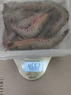 当季冷冻海虾