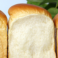 做面包加牛奶不如加酸奶，奶香浓郁，软得像棉花，比买的好吃