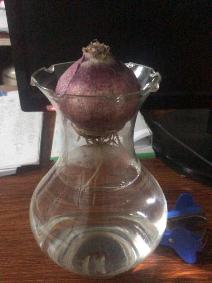 浩胜园艺用品