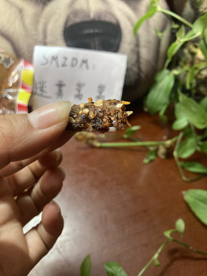老四川肉干肉脯