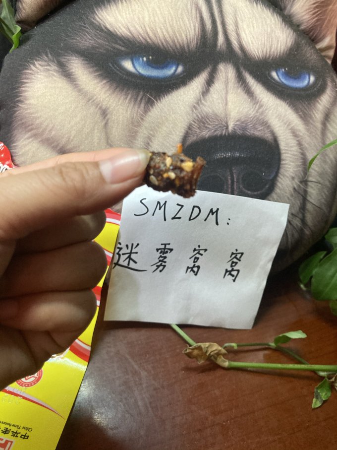 老四川肉干肉脯