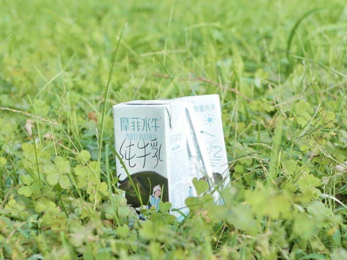 来思尔常温牛奶