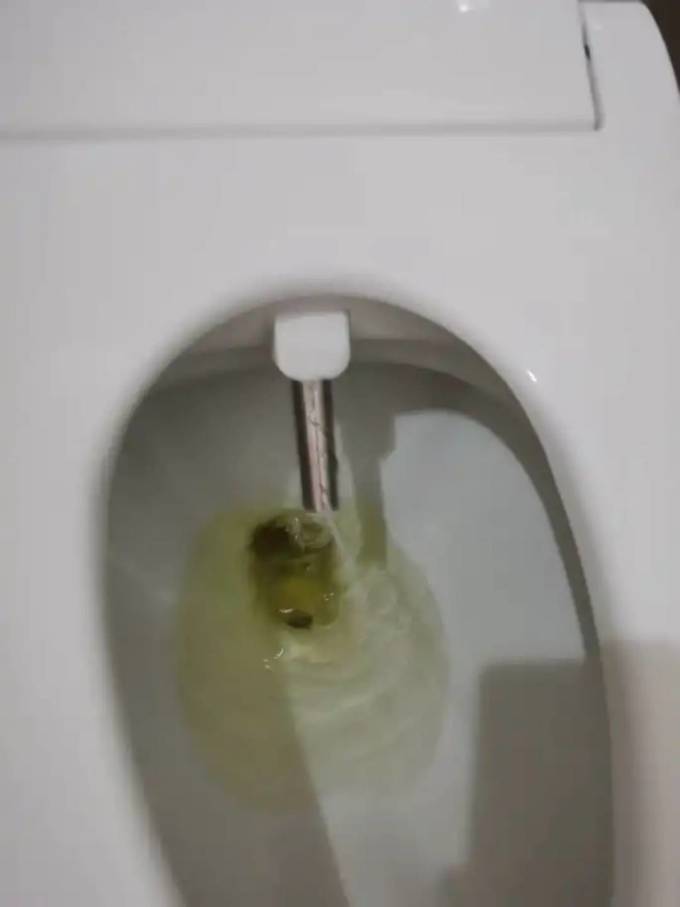 东芝马桶盖