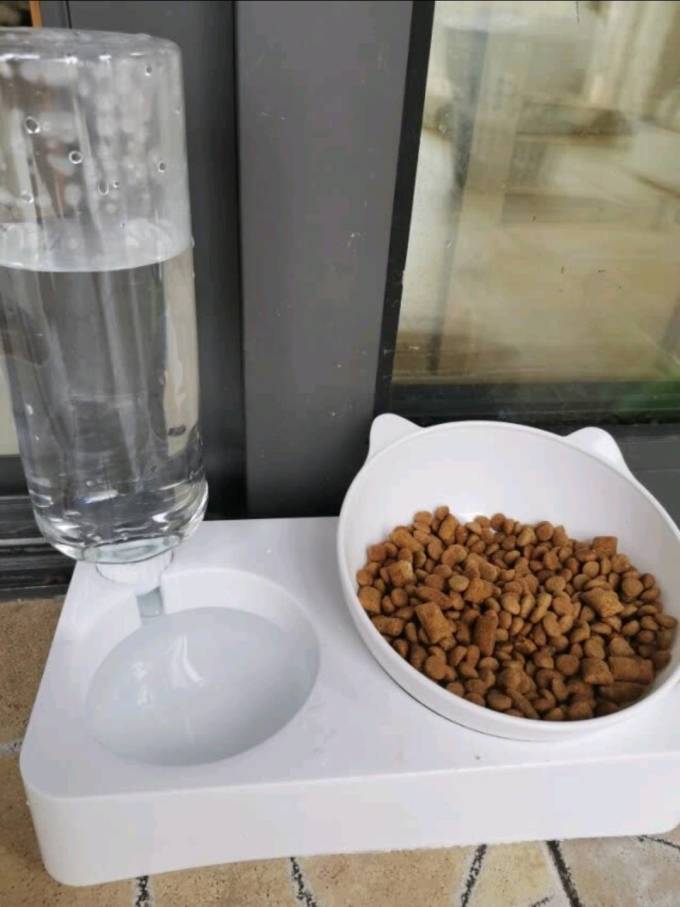 宠物食具水具