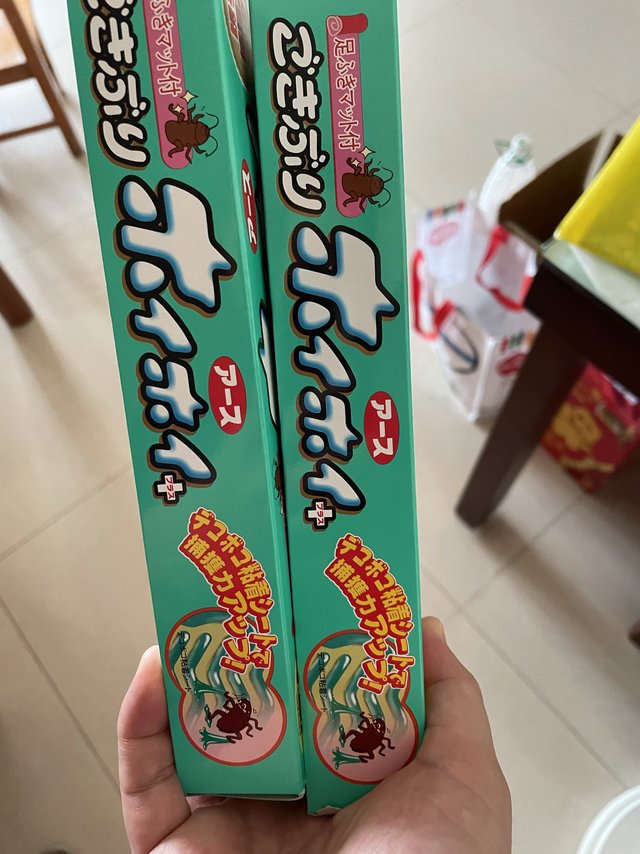 实用的蟑螂屋