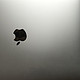几乎神器的M1 MacBook Air和MX MASTER3开箱3个月体验心得​与苹果系软件吐糟