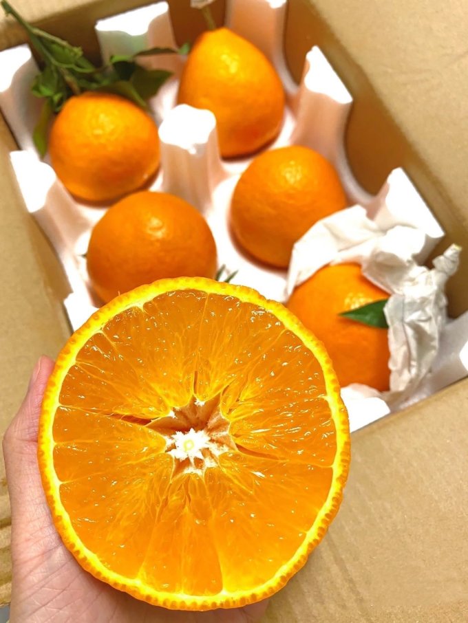 康乐欣新鲜水果