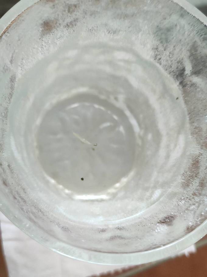 聚广德其他茶类