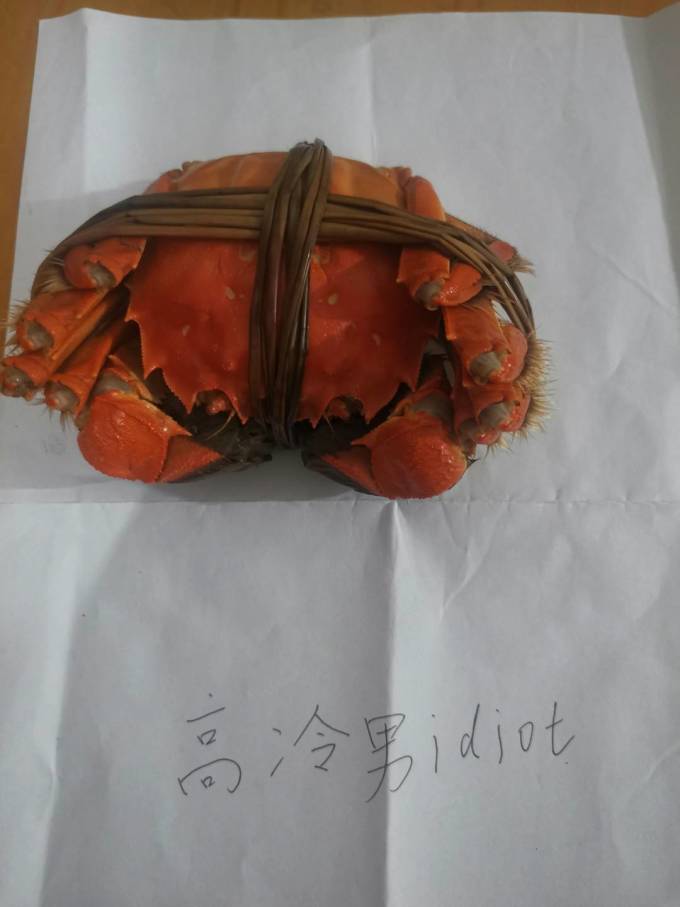 王氏蟹类