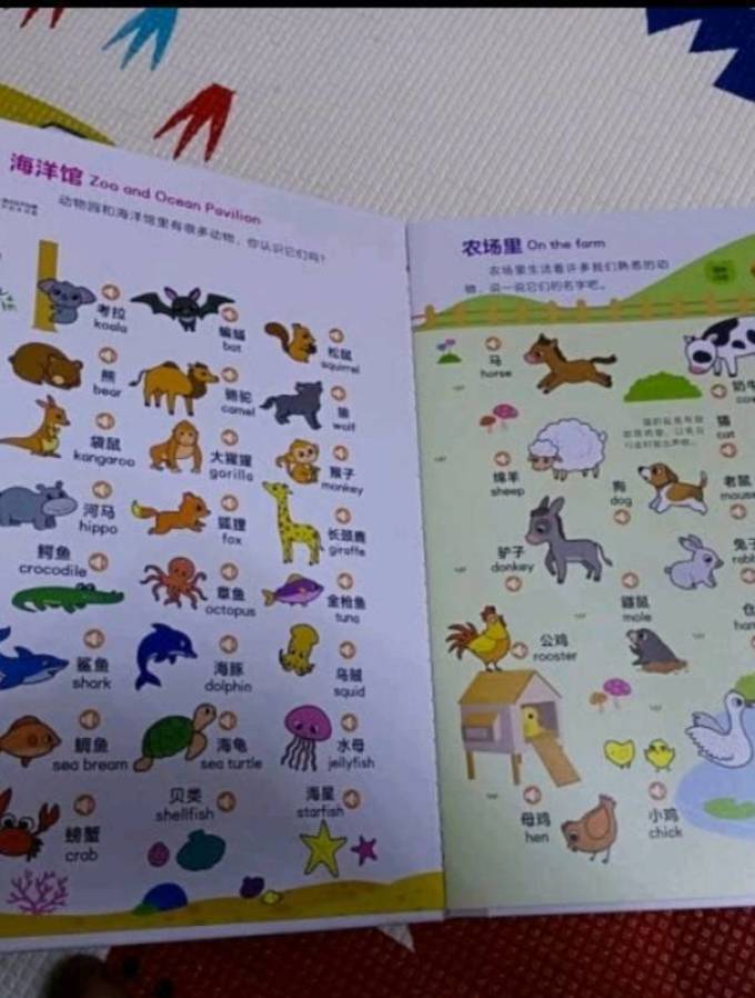小儒童早教启智