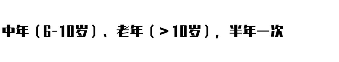 猫咪知识科普｜猫咪体检究竟检个啥？