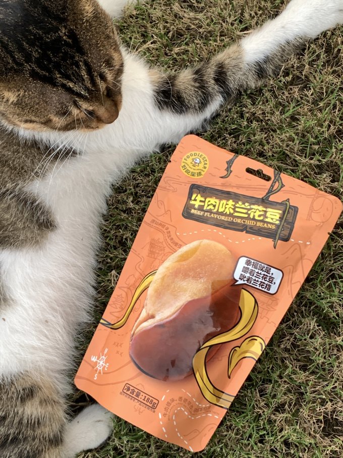 其他休闲零食