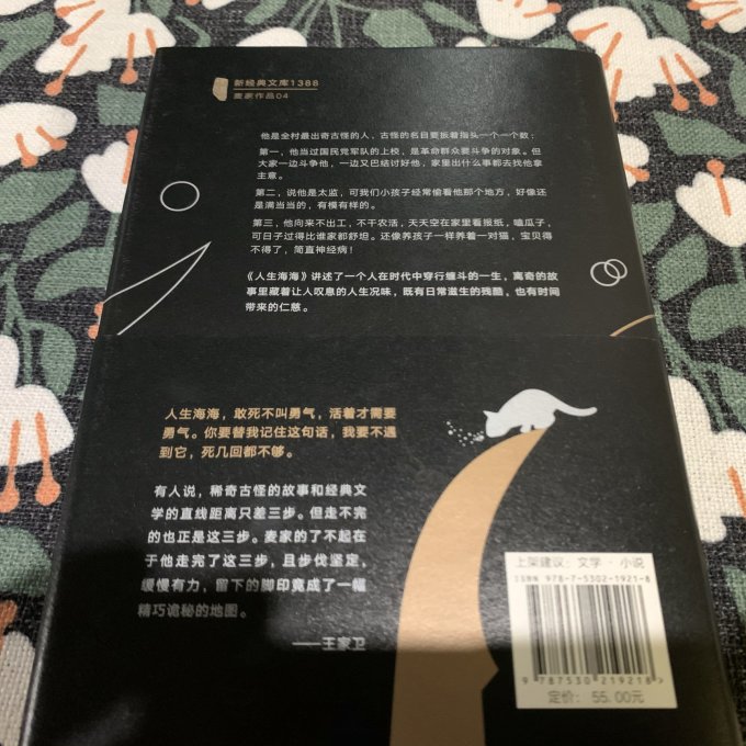 北京十月文艺出版社小说