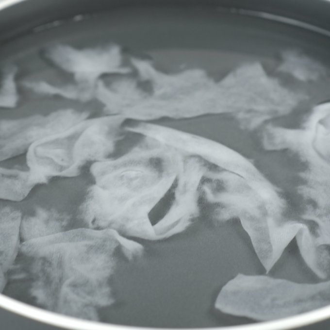 舒洁湿厕纸