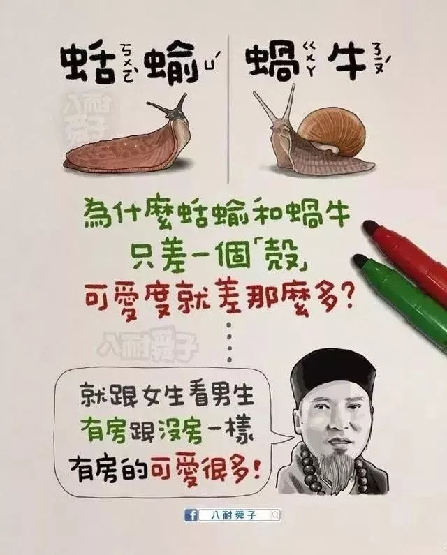 超人气插画师八耐舜子，一笔一画，道出成人世界的心声与辛酸 | 艺术新生活