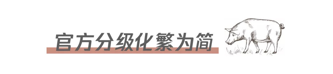 读完这篇，你将比98%的人更懂伊比利亚火腿（上）