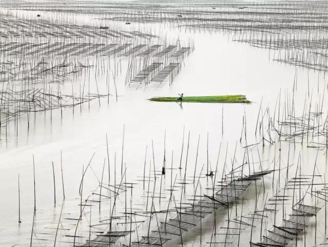 美翻了!法国的摄影师Thierry Bornier镜头下的中国美 | 艺术新生活