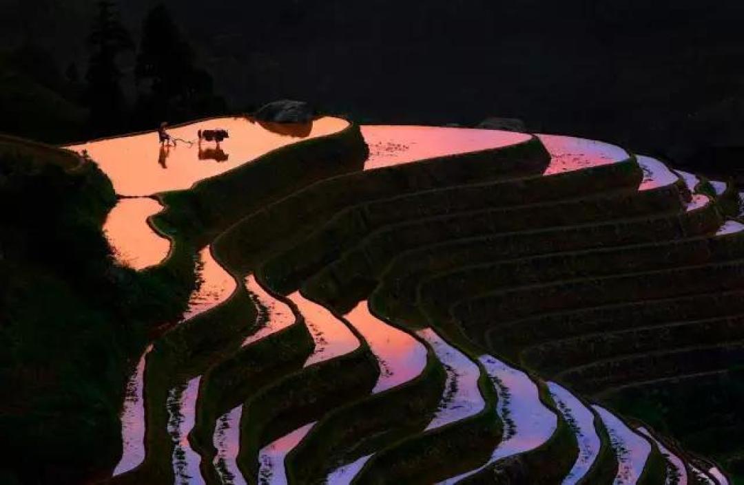美翻了!法国的摄影师Thierry Bornier镜头下的中国美 | 艺术新生活