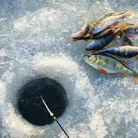 钓圈30期：什么是冰钓，了解冰钓的好玩之处～