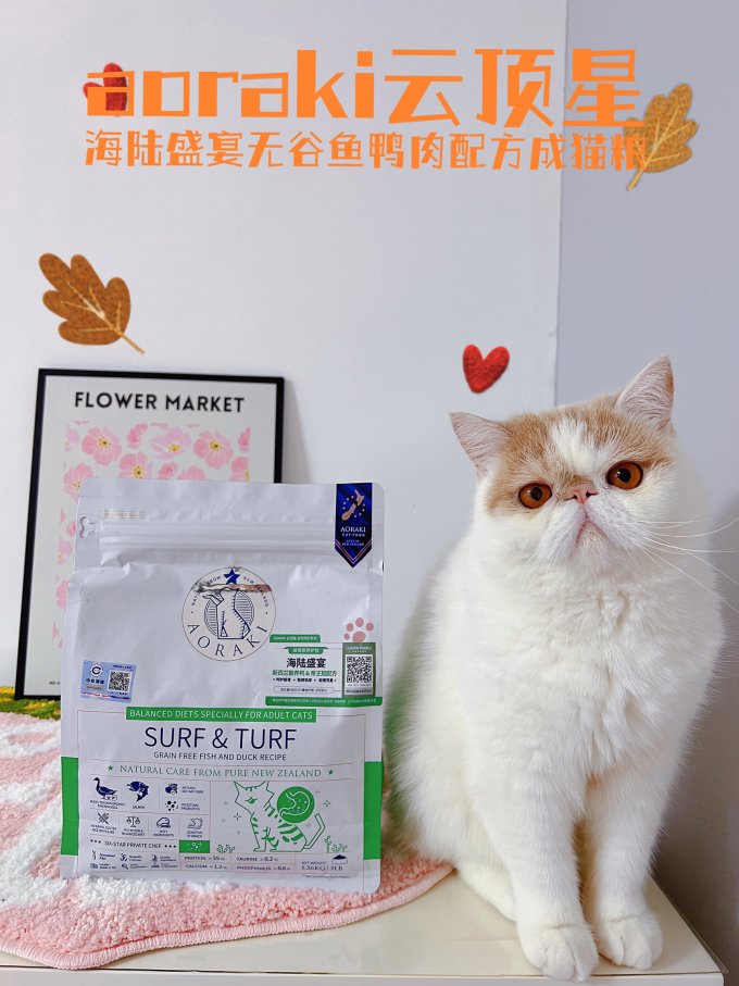猫粮