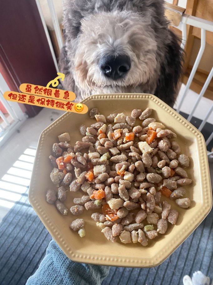 奥利的厨房狗粮