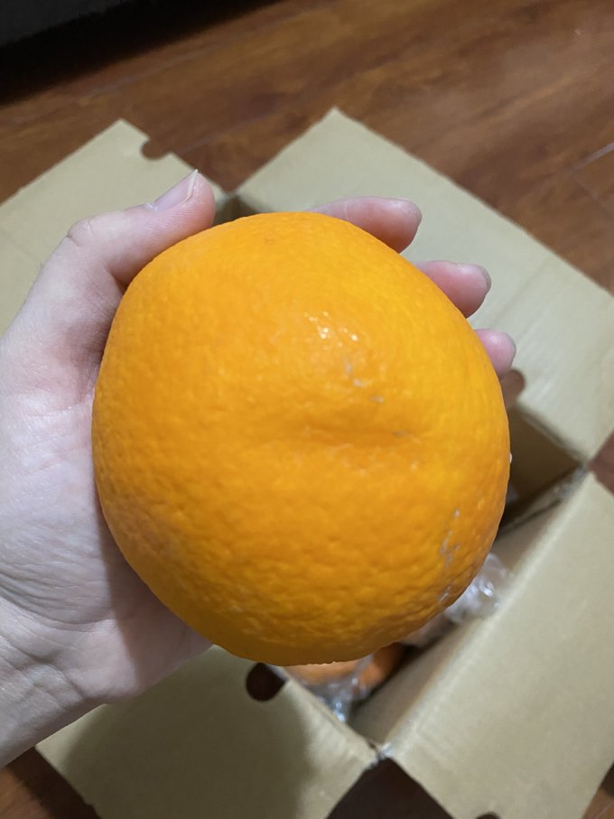 土八鲜橙子