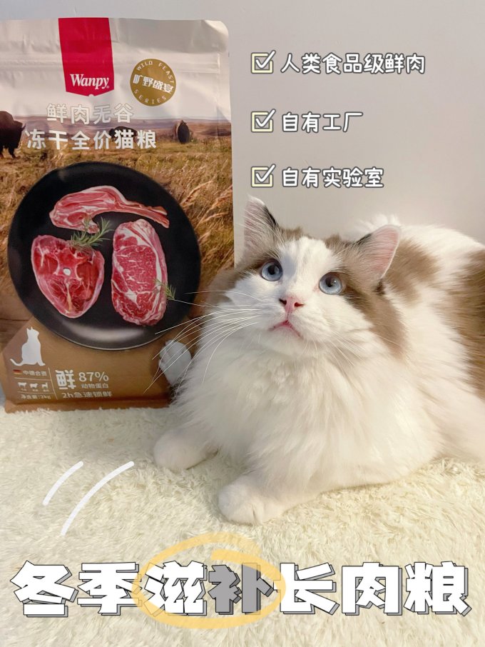 顽皮猫粮