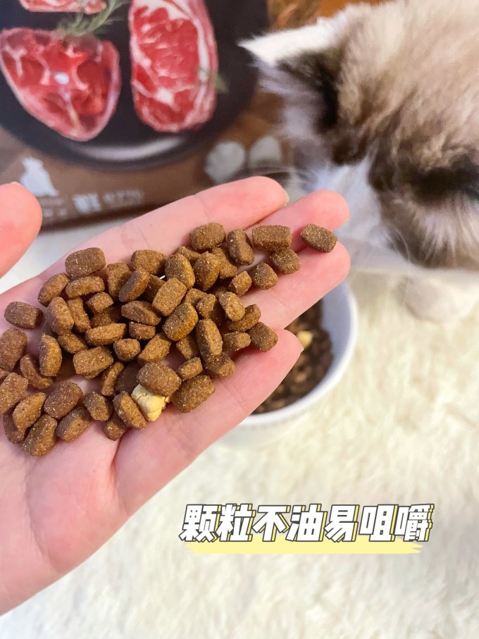 顽皮猫粮